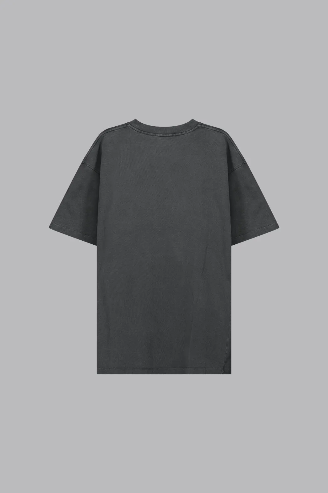 V_LYFE220 T-SHIRT - Gray Vintage